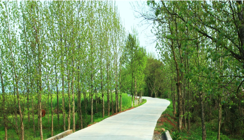 江西信豐縣工業(yè)園科之光路（緯二路）新建大道、產(chǎn)業(yè)大道北段一期工程設(shè)計(jì)、施工總承包（EPC）